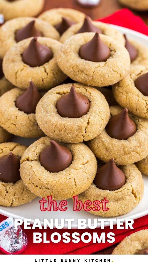 Peanut Butter Blossom Cookies are a long-enjoyed favorite, especially at holiday time. You can make these easy peanut butter and chocolate cookies in an afternoon. Homemade Peanut Butter Blossom Cookies, Small Batch Peanut Butter Blossoms, Peanut Butter Blooms Cookies, Peanut Butter Hershey Kiss Cookies, Peanut Butter Kiss Cookies Recipe, Peanut Blossom Cookies, The Best Peanut Butter Cookies, Peanut Butter Thumbprint Cookies, Buckeye Cookies