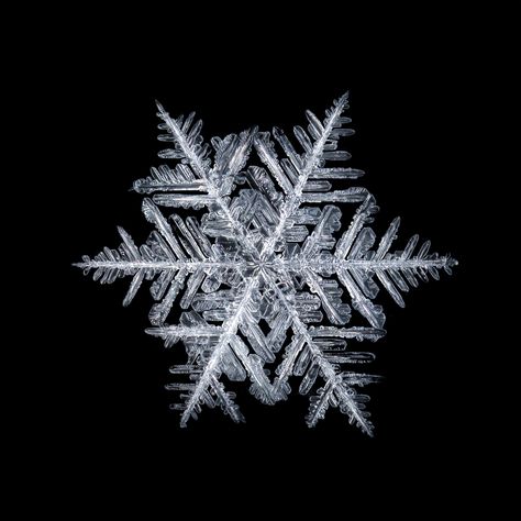 Snowflake Under Microscope, Real Snowflakes Photography, Snowflake Reference, Snowflake Real, Snowflake Photography, Fractals In Nature, Snowflake Pictures, Ice Texture, Snowflakes Drawing