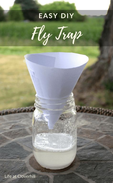 Easy DIY Fly Trap - Ideas for the Home How To Trap Flies In The House, Keep Flies Out Of House, Fly Traps Homemade Diy Outdoor, House Fly Trap Homemade, Fly Catcher Diy, Diy Fly Repellent Outdoor, Get Rid Of Flies In House, How To Keep Flies Out Of Your House, How To Get Rid Of Flies In The House