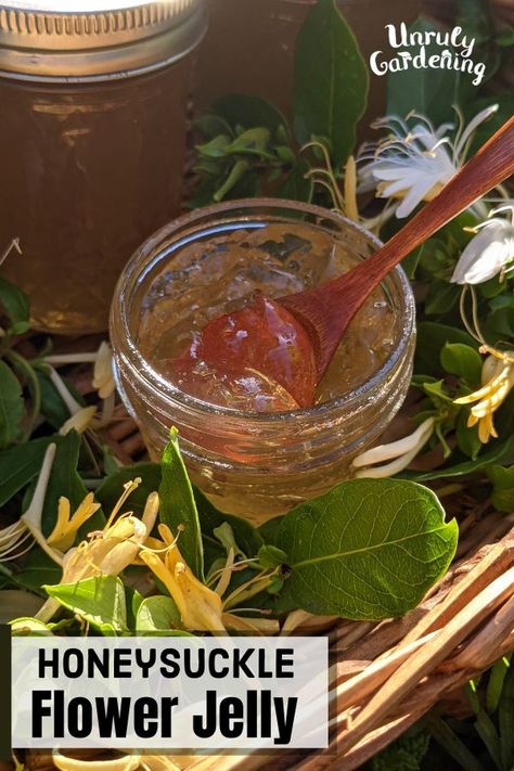 Honeysuckle Jelly - Unruly Gardening Honeysuckle Jelly, Veggies Ideas, Canning Jelly, Flower Recipes, Alternative Sweeteners, Edible Flowers Recipes, Food Preserving, Canning Food, Canning Food Preservation