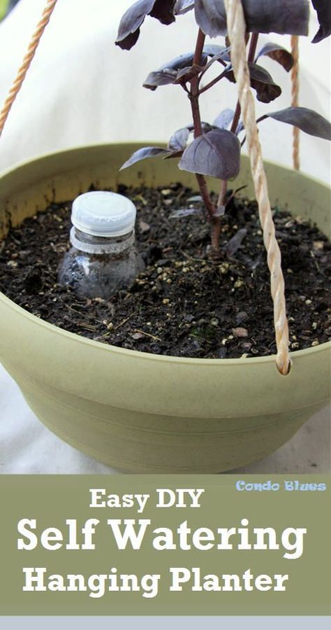 A quick and easy step by step tutorial how to make a DIY self watering hanging herb garden or flower pot. A small space garden solution! Diy Self Watering, Diy Self Watering Planter, Hanging Herb Gardens, Small Space Garden, Indoor Herb Garden Diy, Small Flower Gardens, Self Watering Containers, Hanging Herb Garden, Space Garden