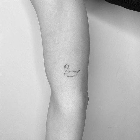 Swan Tattoo For Couples, Small Swan Tattoo Simple, Minimal Swan Tattoo, Swan Tattoos For Women, Mini Swan Tattoo, Swan Line Tattoo, Swan Fine Line Tattoo, Minimalist Swan Tattoo, Tiny Swan Tattoo