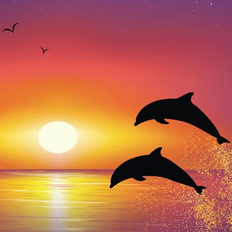 Dolphins at sunset Dolphin Art Painting, Simple Dolphin Painting, Dolphin Silhouette Painting, Dolphin Sunset Painting, Dolphin Jumping Out Of Water Painting, Dolphin Painting, Easy Abstract Art, Cute Easy Paintings, Easy Landscape Paintings