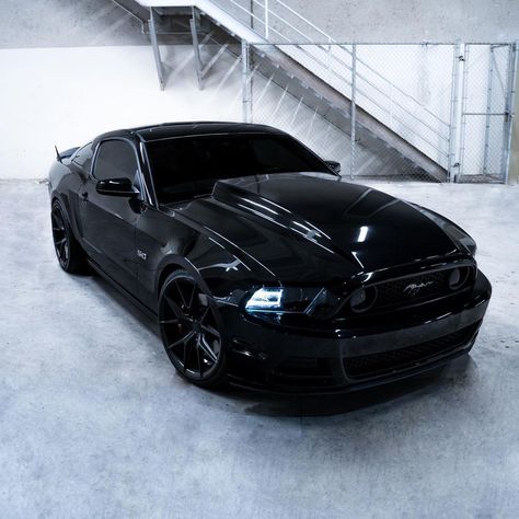 All Black Mustang, 2014 Mustang Gt, 2013 Mustang Gt, Fort Mustang, Mustang 2014, Ford Gt500, 2013 Mustang, Black Mustang, 2014 Mustang