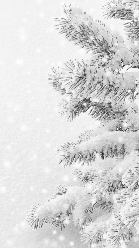 Love You More Quotes, Winter Wonderland Wallpaper, Ipad Mini Wallpaper, Beautiful Christmas Scenes, Winter Iphone, Snowy Weather, Wallpaper Iphone Christmas, Winter Wallpaper, Tree Wallpaper