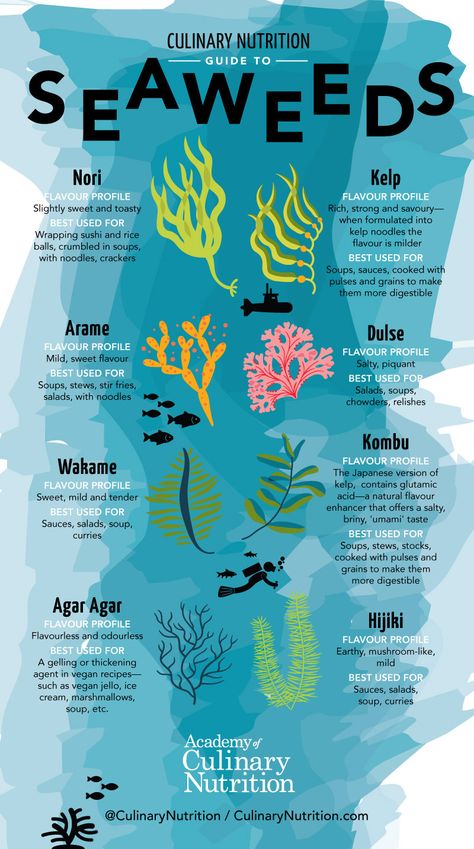 Guide to Seaweeds and Sea Vegetables + Recipes Oceanography Marine Biology, Marine Creatures, Sea Vegetables, Biology Notes, Irish Sea, Oceanography, Nutrition Guide, Sea Moss, Marine Biology