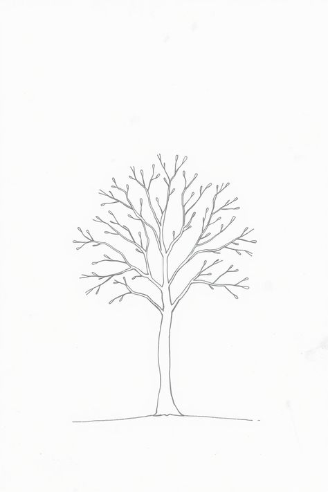 Check Out This Simple Line Drawing Of A Tree & 12+ Other Tree Drawing Ideas! #drawing #drawinginspiration Mini Tree Drawing, Drawing Trees Simple, How To Draw A Tree Step By Step Easy, Tree Simple Drawing, Tree Outline Drawing, Simple Tree Drawing, Tree Of Life Drawing, Tree Drawing Ideas, Drawing Of A Tree