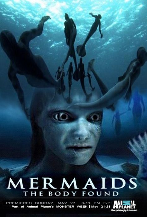 Mermaids The Body Found, Real Life Mermaid Found, Mermaid Found, Real Life Mermaids, Mermaid Movies, Angel Clouds, Aqua Mermaid, The Rings Of Power, Rings Of Power