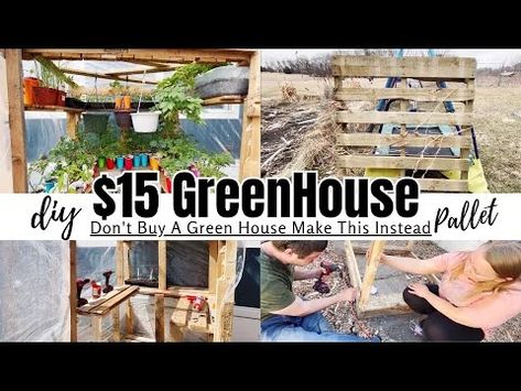 Pallet GreenHouse|$15 Easy GreenHouse|Beginner Green House|DIY - YouTube Green House Pallet Ideas, Greenhouse Beginner, Greenhouse Diy Cheap, Pallet Greenhouse Diy, Diy Greenhouse Cheap Easy, Green House Diy, Easy Greenhouse, Pallet Greenhouse, Old Fence Boards