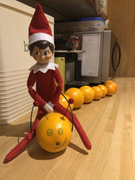 Elf on the Shelf 2019 | Riding on a caterpillar made of oranges! Elf With Oranges, Elf On The Shelf Oranges, Elf On A Shelf, Awesome Elf On The Shelf Ideas, Elf Ideas, Shelf Ideas, Christmas Hat, A Shelf, On The Shelf