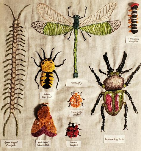 *Finally* finished with StitchGothica's Bug Case! by NverYouMind Textile Insects, Embroidery Sampler Pattern, Season Project, Bug Embroidery, Sashiko Mending, Insect Embroidery, Crafts For Beginners, Bugs Embroidery, Couching Stitch