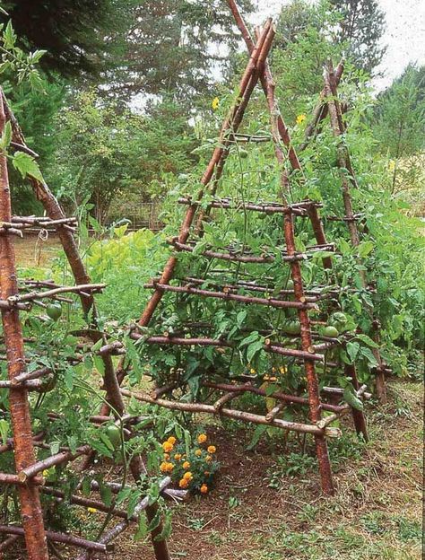 Garden Inspiration {Summer, I am ready for you} - Jeanne Oliver Tanaman Tomat, Village Garden, Tomato Trellis, Outdoor Cabana, Rustic Fence, Backyard Dreams, Potager Garden, Growing Veggies, Permaculture Gardening