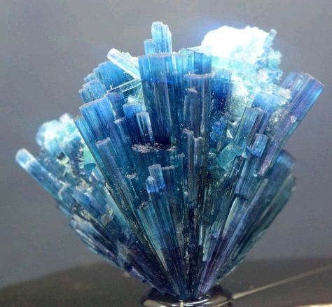 Turmalina Indicolite - Afeganistão.Via ebay.com Planet Art, Gemstone Brooch, Stone Circle, Indicolite Tourmaline, Crystal Therapy, Minerals And Gemstones, Rocks And Gems, Crystal Decor, Tourmaline Crystal