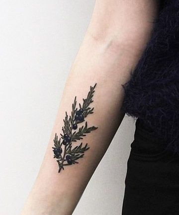 Refreshing Choice Wildflowers Tattoo, Fenrir Tattoo, Pine Tattoo, Plant Tattoos, Where Tattoo, Botanical Tattoos, Juniper Tree, M Tattoos, Wildflower Tattoo