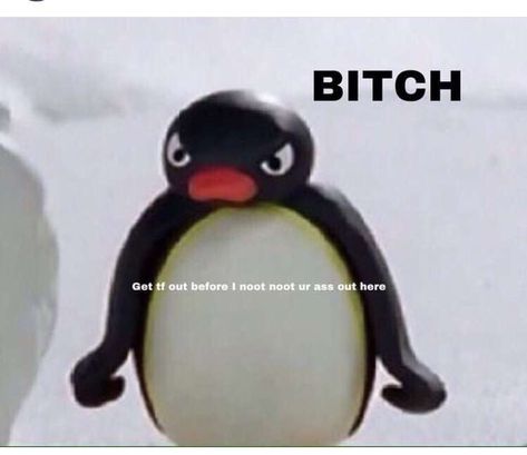 Pinguin Meme, Pingu Memes, Pingu Pingu, Timmy Time, Reaction Memes, Meme Stickers, Funny Reaction Pictures, Wholesome Memes, Love Memes