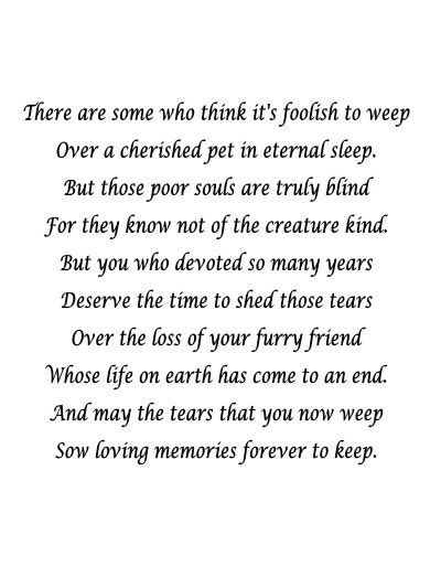 Pet Quotes Cat, Losing A Pet Quotes, Pet Quotes Dog, Pet Poems, Pet Quotes, Dog Poems, Rock Quotes, Lost Quotes, Sympathy Quotes