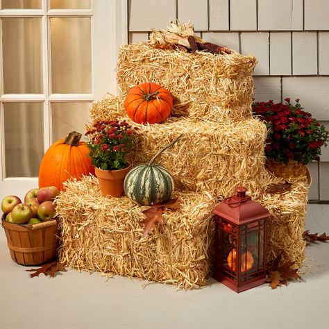 Fall Decor Ideas With Hay Bales, Hay Decorations Party, Hay Barrel Fall Decor, Haybells Fall Decor, Cornstalk Decorating Ideas, Bale Of Straw Fall Decor, Pumpkins And Hay Bales, Harvest Event Decor, Simple Outside Fall Decor