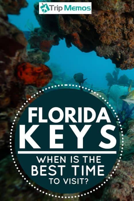 When Is The Best Time To Visit The Florida Keys? Article by TripMemos.com #TripMemos #Trip #Memos #Travel #Florida Keys Florida, Snorkel Gear, Maui Vacation, Usa Travel Guide, The Florida Keys, Visit Florida, Time To Go, Florida Vacation, Florida Travel