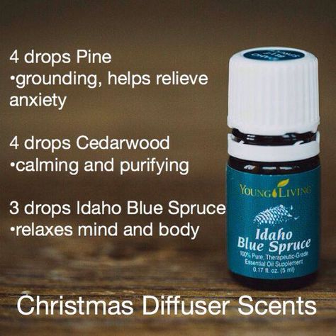 Christmas diffuser scents Idaho Blue Spruce Essential Oil, Christmas Diffuser Blends, Idaho Blue Spruce, Spruce Essential Oil, Essential Oil Usage, Young Living Diffuser, Essential Oils Diffuser, Essential Oil Remedy, Young Living Essential Oils Recipes