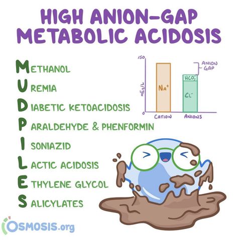 Nurse Vocabulary, Electrolytes Nursing, Emt School, Anion Gap, Clinical Instructor, Nclex Prep, Med Surg Nursing, Nursing School Essential, Student Tips