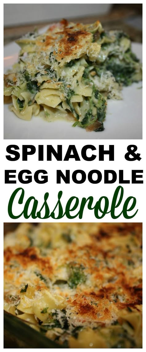 Spinach And Egg Noodle Casserole Recipe #recipe #casserole #dinner Spinach Egg Noodles Recipe, Spinach Noodle Casserole, Pasta Chicken Salad, Egg Noodle Casserole, Spinach Noodles, Recipe Casserole, Egg Noodle Recipes, Noodle Casserole Recipes, Spinach Casserole