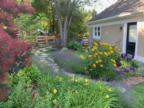 Colorado Garden Design, Colorado Vegetable Garden, Colorado Yard Landscaping, Colorado Landscape Ideas, Colorado Front Yard Landscaping, Desert Cottagecore, Xeriscape Landscaping Colorado, Xeriscape Backyard, Xeriscape Ideas