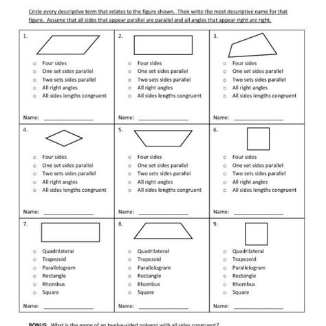 Classifying Quadrilaterals Worksheet Fourth Grade Classifying Quadrilaterals Worksheet, Classifying Quadrilaterals, Easy Math Worksheets, Geometry Worksheets, Math Word Problems, Free Worksheets, Math Geometry, Simple Math, Education Quotes For Teachers