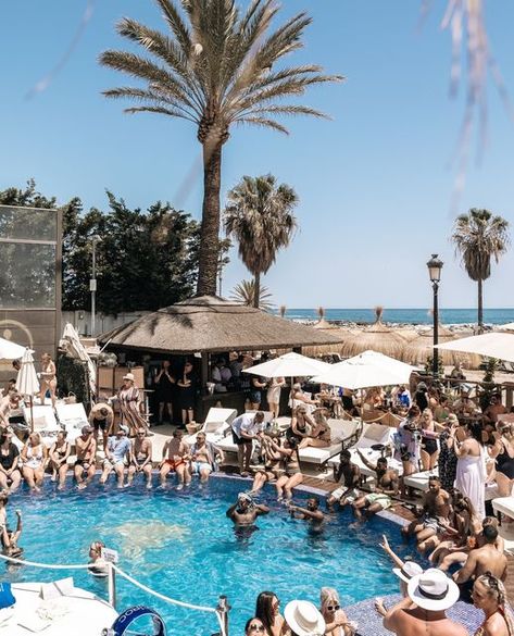 La Sala By The Sea on Instagram: "Encore Sunday's 🌴🌊⁠ ⁠ Join us TODAY for nothing but the best tunes from @djscottstrutt and live music from @augustoviolinist! 🙌🏼🥁⁠ ⁠ LINK IN BIO FOR RESERVATIONS⁠ #PoolPartyMarbella #BeachClubMarbella #PuertoBanus #LaSalabytheSea" Puerto Banus, Club Ideas, Sea Beach, By The Sea, Marbella, Beach Club, Pool Party, Live Music, Join Us