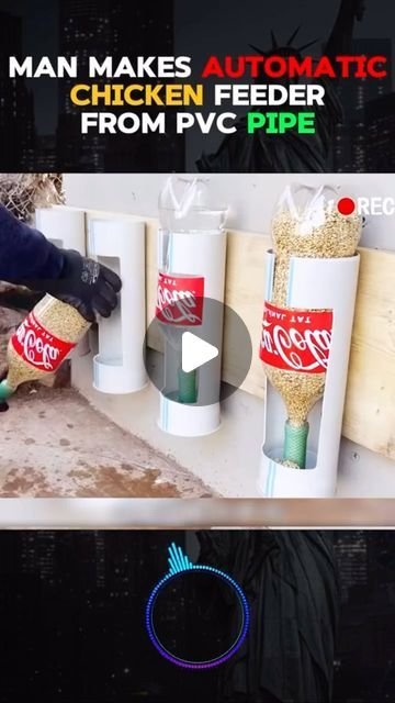 Poultry on Instagram: "Watch until the end. This clip shows a DIY drinkers and feeders. We look forward to seeing yours soon.  #poultry #farmer #farms" Grit Dispenser For Chickens, Home Made Chicken Feeder, Turkey Feeders Ideas, Diy Automatic Chicken Feeder, Chicken Feeders Diy, Easy Diy Chicken Feeder, Chicken Feeder Ideas, Diy Chicken Feeder, Pastured Poultry