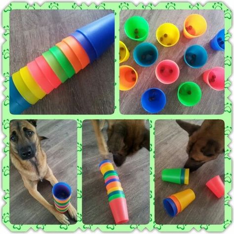 Dog Boredom, Brain Games For Dogs, Toys For Dogs, Game Place, Brain Game, Diy Dog Toys, Dog Enrichment, Dog Games, Dog Puzzles