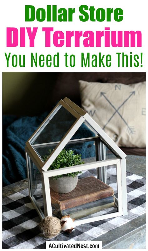 Dollar Store DIY Terrarium- If you want to highlight your decor or create a beautiful focal point, you need to make this beautiful (and easy) dollar store decor DIY! Here's how I made this dollar store DIY terrarium for less than 10 bucks! | dollar store decorating, Dollar Tree DIY, #dollarStoreDIY #DIY #ACultivatedNest Dollar Tree Frames, Storage For Clothes, Diy Succulent Terrarium, Diy Terrarium, Dollar Store Diy Organization, Easy Vegetables To Grow, Dollar Store Hacks, Dekor Diy, Dollar Store Organizing