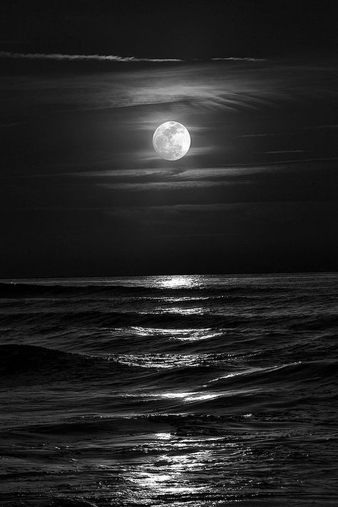 The sea and the moon Shoot The Moon, Moon Pictures, Sunset Wallpaper, The Full Moon, Beautiful Moon, Harvest Moon, White Picture, Moon Goddess, Black White Photos