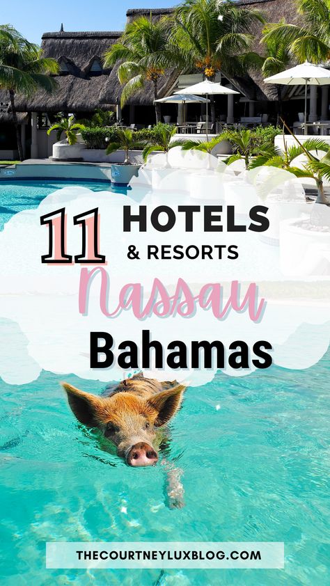 From luxury resorts to lovely boutique stays, these are the best hotels in Nassau, Bahamas. Where To Stay In Nassau Bahamas, Best Places To Stay In Bahamas, All Inclusive Bahamas Resorts, Bahamas Hotels, Bahamas Nassau, Bahamas Resorts, Paradise Island Bahamas, Best All Inclusive Resorts, Bahamas Travel