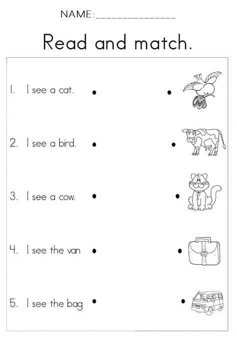 Read simple sentences activity Simple Sentences Activities, Simple Sentences Worksheet, Sentences Worksheet, Regular And Irregular Verbs, Sentence Activities, Regular Verbs, Irregular Verbs, Simple Sentences, Close Reading