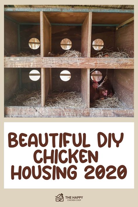 It’s becoming more popular to build your own chicken coop. Here are some DIY styles we have updated for 2020. Chicken House Ideas Diy, Chicken Coop Interior, Coop Interior, Build Your Own Chicken Coop, Chicken Coop Pallets, Mobile Chicken Coop, Chicken Roost, Raising Quail, Backyard Farm