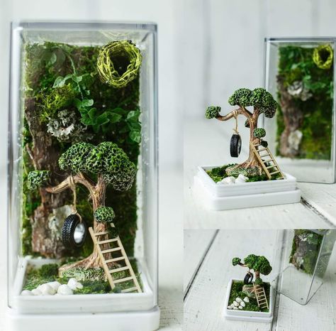 Jumping Spider Fairy Garden, Jumping Spider Terrarium Ideas, Diy Jumping Spider Enclosure, Spider Ideas, Jumping Spider Enclosure, Spider Enclosure, Spider House, Enclosure Ideas, Jumping Spiders