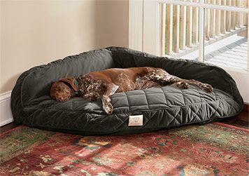 corner dog bed.  Oh my goodness my dogs would love this!  It could replace the make shift bed I made (with pillows and blankets) in the corner of our bedroom! Corner Dog Bed, Memory Foam Dog Bed, Dog Rooms, Dog Houses, Diy Dog Stuff, Dog House, Pet Beds, Dexter, Dog Care