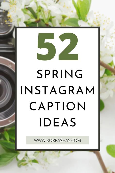 52 spring Instagram caption ideas! Fun spring Instagram captions. IG captions for the spring time. #springtime #instagramtips #instacaptions #igcaptions #instagramcaptionideas April Captions For Instagram, Spring Ig Captions, March Captions, Spring Funny Quotes, Spring Captions Instagram, Simple Captions For Instagram, Spring Break Captions, Spring Captions, Springtime Quotes