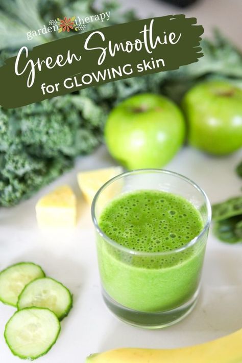 A Garden Green Smoothie For Glowing Skin. This recipe is full of veggies and fruit that are good for hair, skin and nails, plus the addition of liquid Chlorophyll, vitamin c, and silica for that extra glow! #ad #iherbpartner #gardentherapy #greensmoothie Turmeric Smoothie Recipes, Glowing Green Smoothie, Yummy Green Smoothie, Turmeric Smoothie, Green Smoothie Recipe, Herbal Skin Care, Detox Juice Recipes, Smoothie Diet Plans, For Glowing Skin