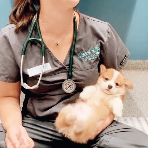 Veterinary Doctor Aesthetic, Vet Doctor Aesthetic, Animal Doctor Aesthetic, Vet Nursing Aesthetic, Vetinary Nurse, Female Veterinarian Aesthetic, Vet Nurse Aesthetic, Vet School Aesthetic, Veterinarian Aesthetic