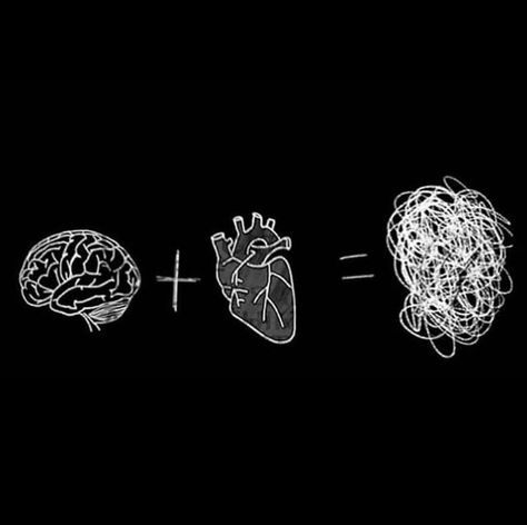 Best Captions, Heart And Brain, Heart Brain, The Minds Journal, Minds Journal, Brain And Heart, Today Pictures, Caption This, Cool Captions