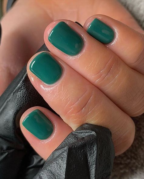 Queer Nails Art, Semi Permanent Nails Ideas, Turqoise Nails Gel, Bright Fall Nails, Solid Nail Colors, Short Nail Colors, Fall Nail Art Ideas, Shellac Nail Colors, Colors Of Summer