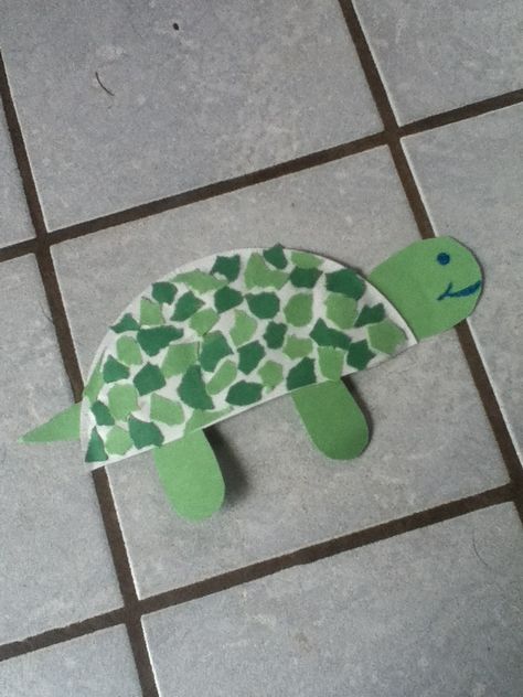 T Is For Turtle Preschool, Turtle Art For Toddlers, Turtle Projects For Preschoolers, Turtle Art And Craft, Turtle Theme Preschool Activities, Turtle Toddler Craft, Turtle Activity Preschool, Turtle Craft For Toddlers, Preschool Turtle Craft