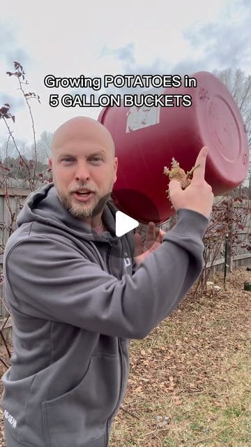 188K views · 7.5K likes | Salty Acres on Instagram: "How to grow POTATOES in a 5 Gallon Bucket   #potato #potatoes #containergardening #garden #gardening #growmorewithless #growyourownfood #food #organic #backyardgarden" Garden Potatoes, Grow Potatoes In Container, Container Potatoes, Potato Planters, Gardening Tricks, Grow Potatoes, 5 Gallon Buckets, Bucket Planters, Irish Potatoes