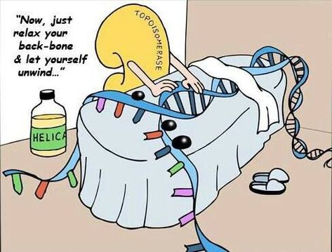 biology humor Scientific Jokes, Microbiology Notes, Biology Jokes, Central Dogma, Biology Memes, Science Cartoons, Biology Humor, Science Puns, Nerd Jokes