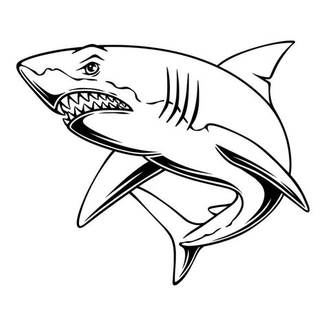 tiburón de ilustración vectorial con posición de caza de presas diseño en blanco y negro Psd Icon, Iconic Photos, Black And White Design, Vector Photo, Sea Life, Premium Vector, Graphic Resources, Vector Images, Vector Illustration