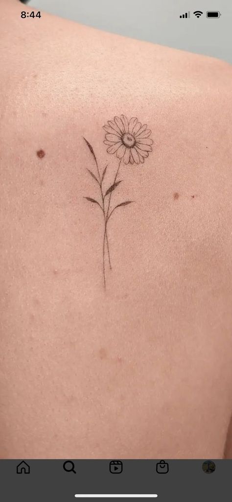 | Creative Tattoos Aesthetic By  Tehya Richter Tattoo Ideas Daisy Flower, Marguerite Flower Tattoo, Sunflower Tattoo Tiny, Simple Aster Tattoo, Flower Tattoos Sunflower, Marguerite Daisy Tattoo, Daisy Tattoo Flower, Daisy Behind Ear Tattoo, Aster Fine Line Tattoo