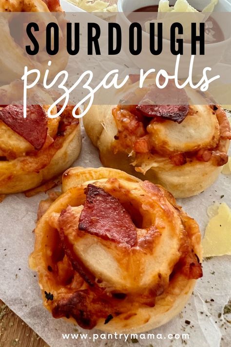 Pizza Rolls From Scratch, Sourdough Pizza Buns, Sourdough Pizza Pinwheels, Sourdough Active Recipes, Sourdough Pizza Bites, Mini Sourdough Pizzas, Sourdough Discard Pizza Rolls, Sourdough Discard Recipes Freezable, Pizza Sourdough