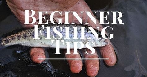 Read these basic fishing tips for beginners #fishing #fishingtips Fishing Basics, Fishing Wire, Fishing For Beginners, Fishing Rods And Reels, Fishing Guide, Types Of Fish, Going Fishing, Fishing Equipment, Fishing Tips