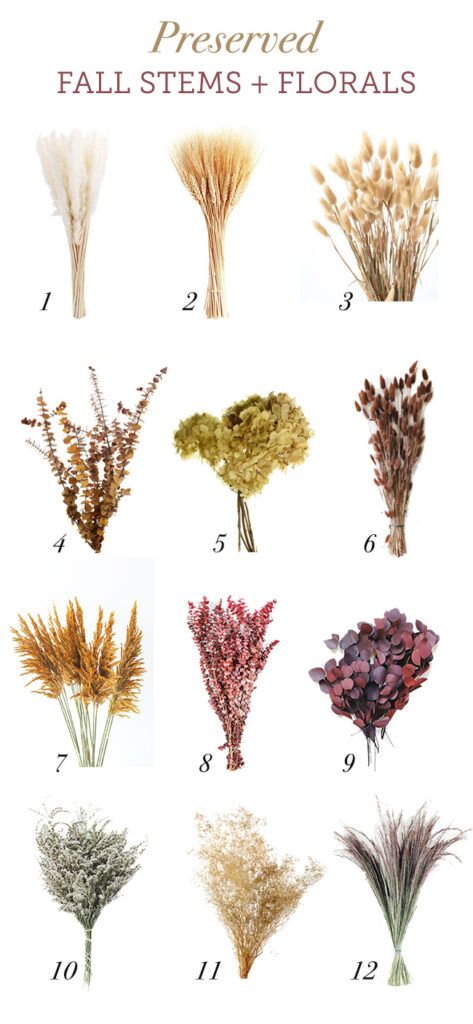 The best preserved Favorite Fall Stems + Florals Roundup Dry Fall Flower Arrangements, Fall Florals Decor, Fall Dry Flower Arrangements, Fall Flowers Decorations, Fall Dried Florals, Dried Stems Decor, Dried Flowers Decoration Home Decor, Dried Fall Arrangements, Fall Floral Design